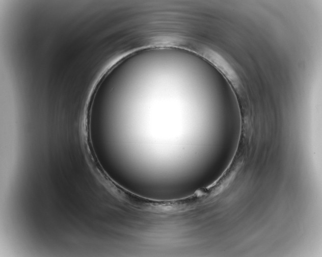 X0000098120948200804111112