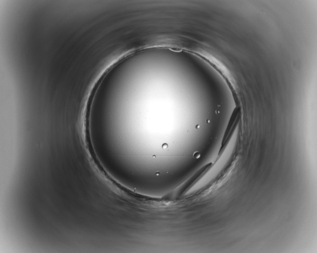 X0000098120949200804111112