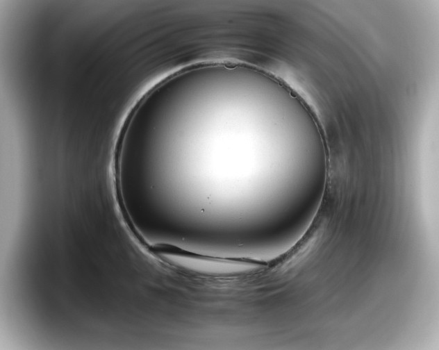 X0000098120951200804111112