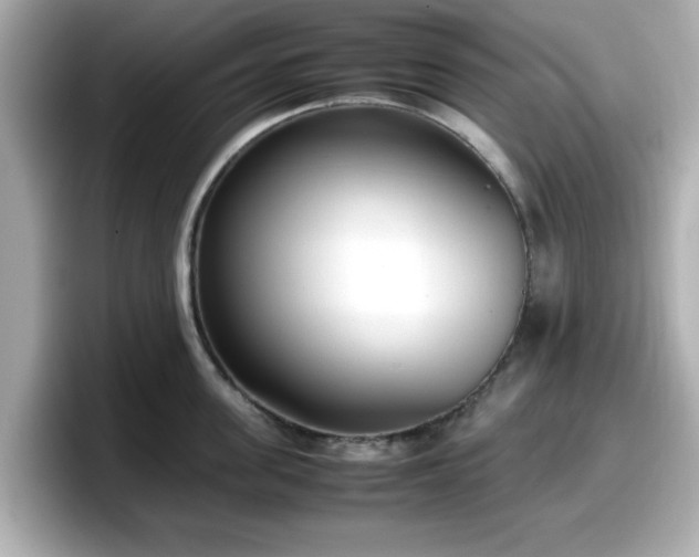 X0000098120955200804111112