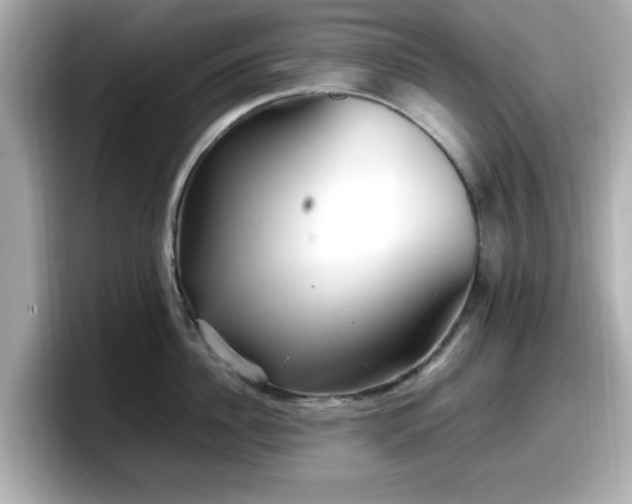 X0000098120956200804111112