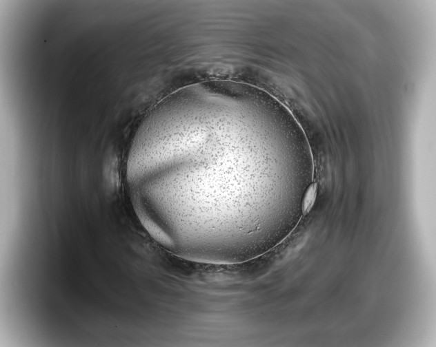 X0000098120962200804111112