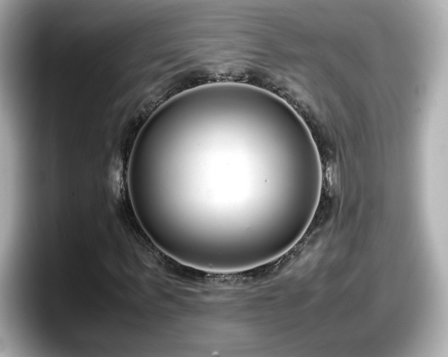 X0000098120963200804111112
