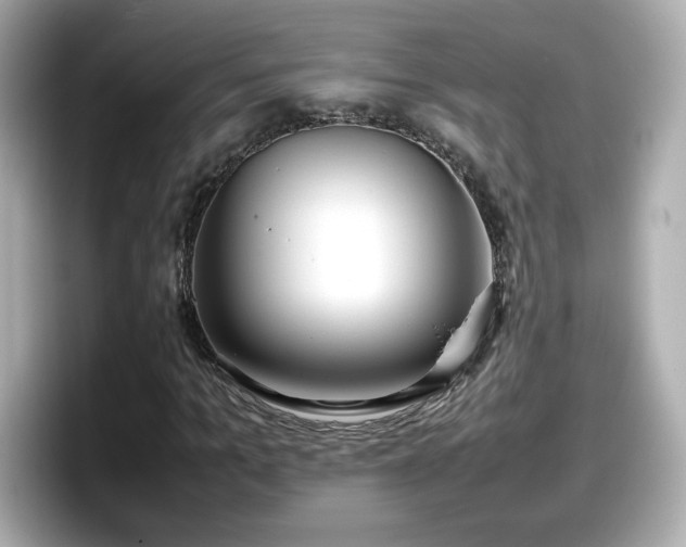 X0000098120965200804111112