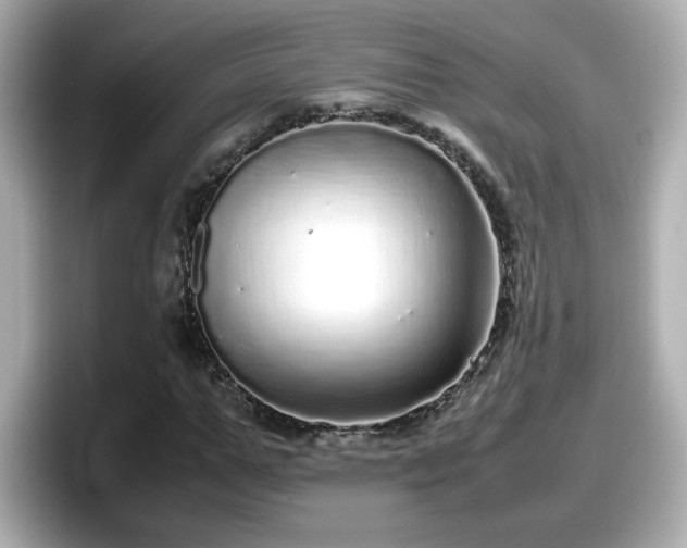 X0000098120967200804111112