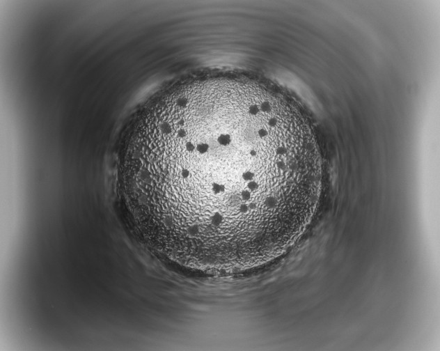 X0000098120968200804111112