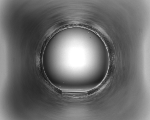 X0000098120969200804111112