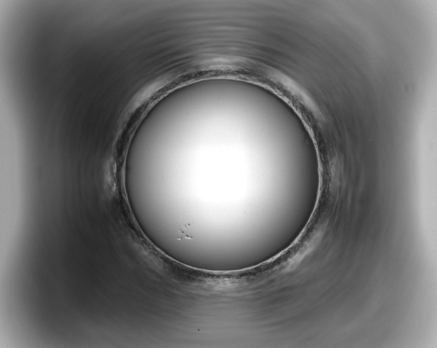 X0000098120970200804111112