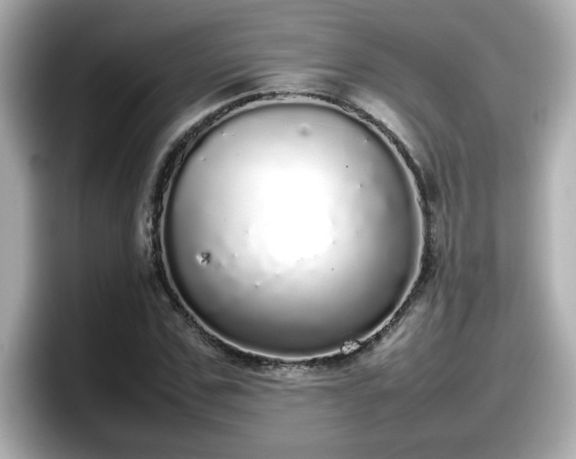 X0000098120971200804111112