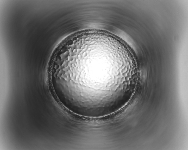 X0000098120972200804111112