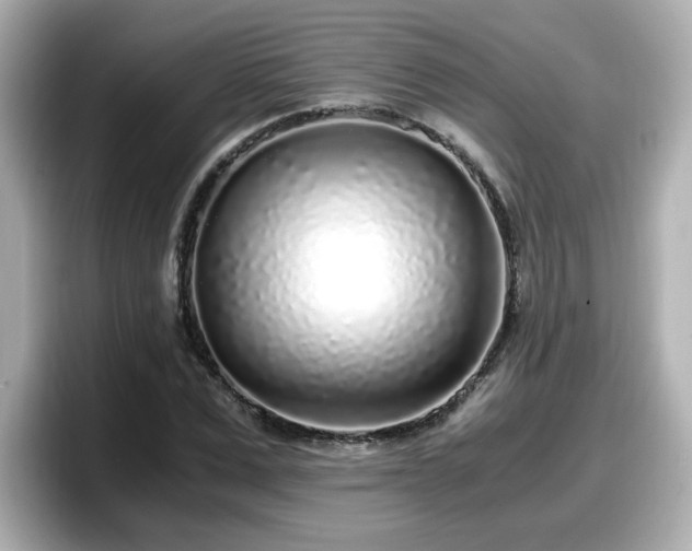 X0000098120975200804111112