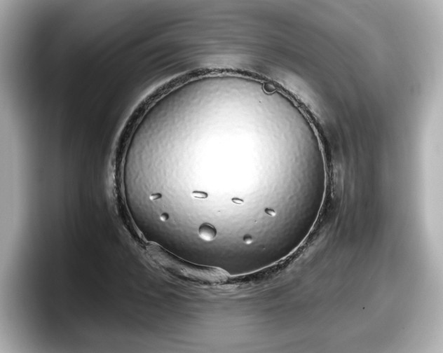 X0000098120976200804111112