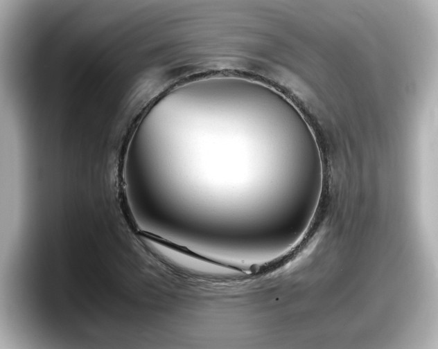 X0000098120977200804111112