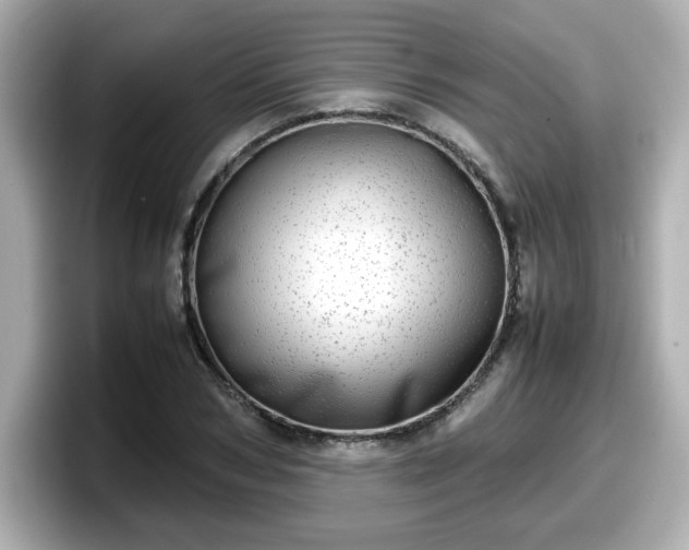 X0000098120978200804111112