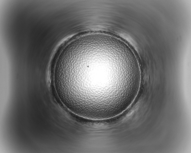 X0000098120979200804111112