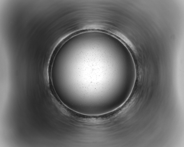 X0000098120980200804111112