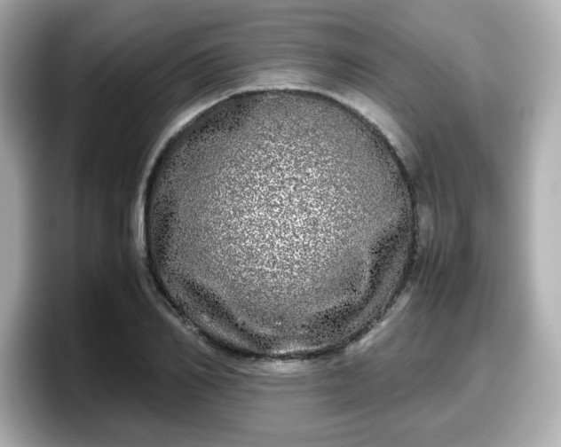X0000098120982200804111112