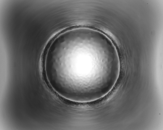 X0000098120983200804111112