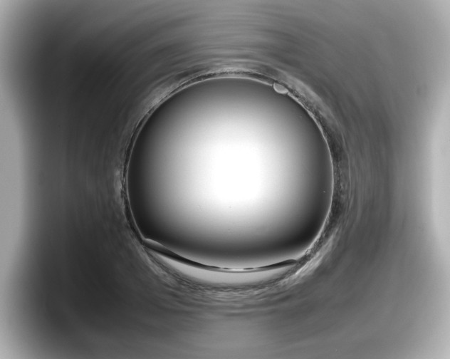 X0000098120985200804111112