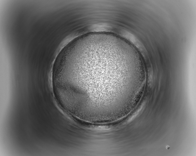X0000098120986200804111111