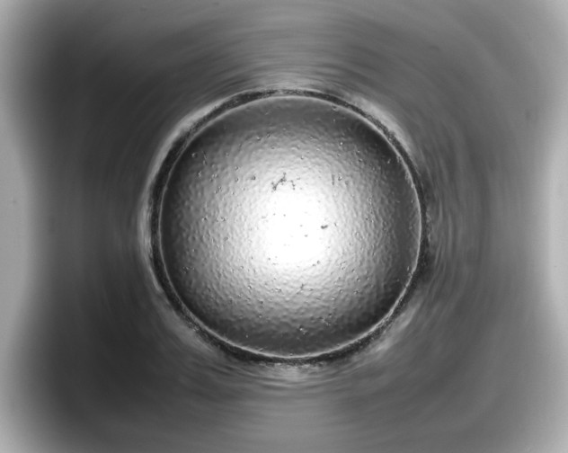 X0000098120987200804111111