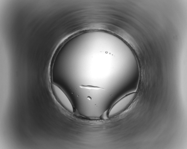 X0000098120988200804111111