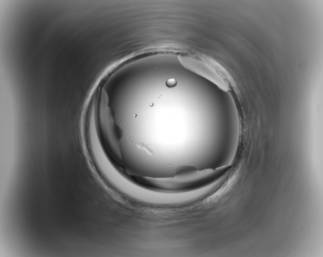 X0000098120989200804111111