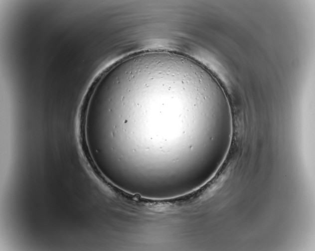 X0000098120991200804111111