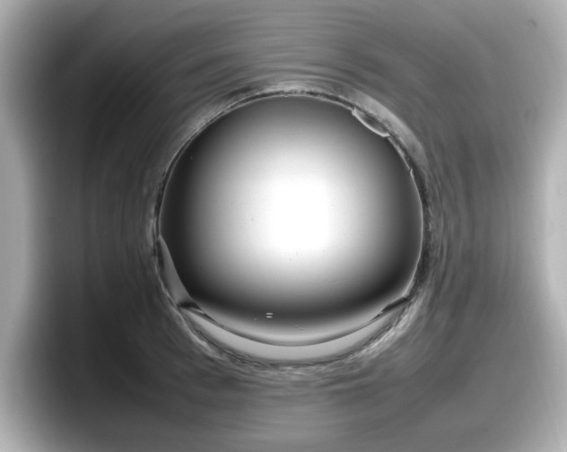 X0000098120993200804111111