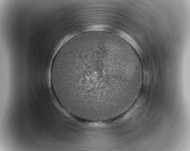 X0000098120994200804111111