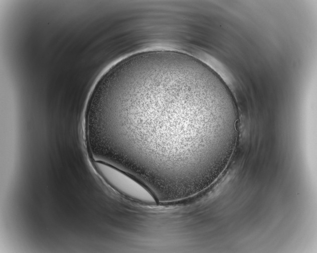X0000098120996200804111111