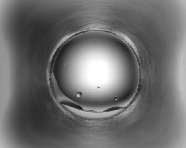 X0000098120997200804111111