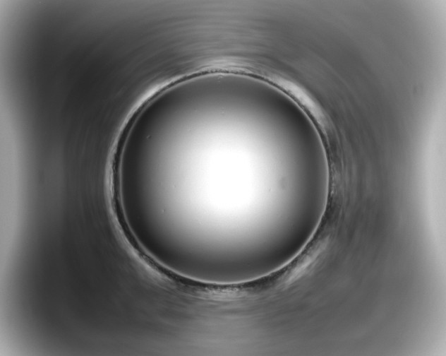 X0000098120999200804111111