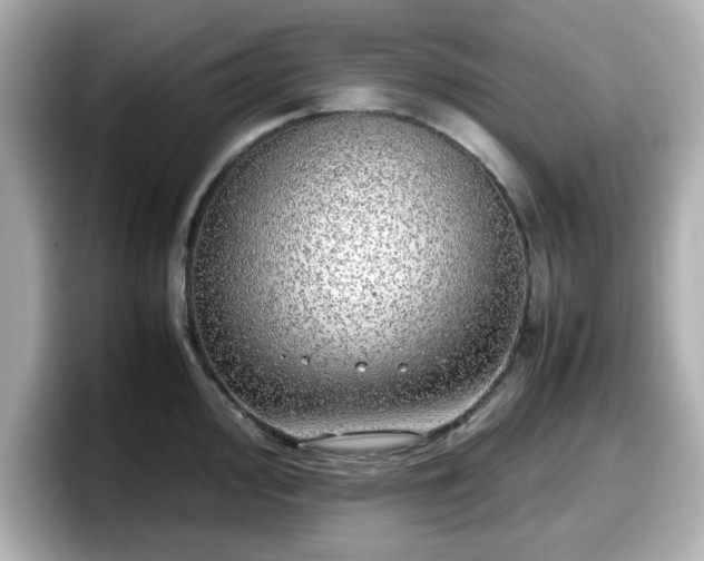 X0000098121000200804111111