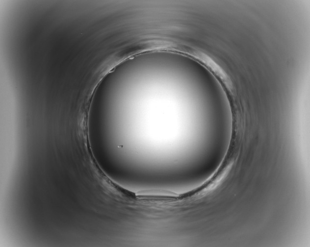 X0000098121001200804111111
