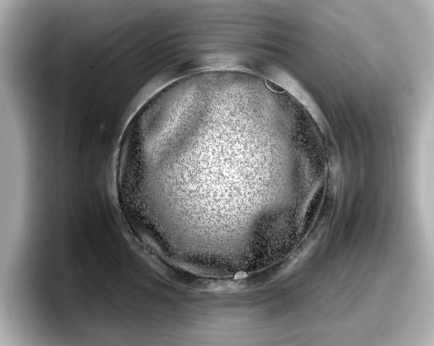 X0000098121002200804111111