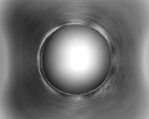 X0000098121003200804111111