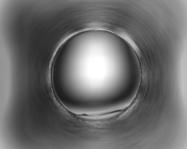 X0000098121004200804111111