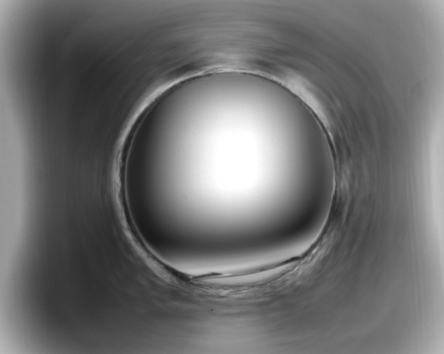 X0000098121005200804111111