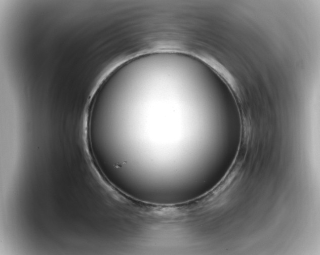X0000098121006200804111111