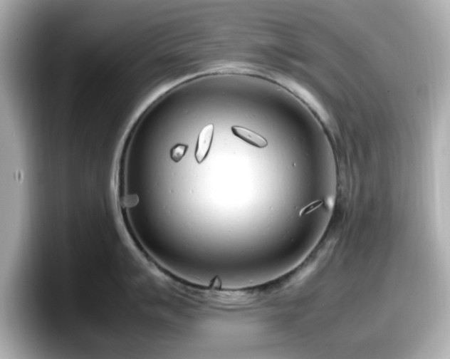 X0000098121007200804111111