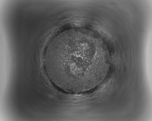 X0000098121009200804111111