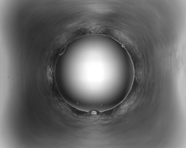 X0000098121010200804111111
