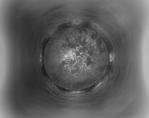 X0000098121011200804111111