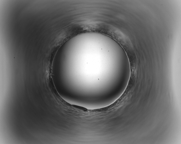 X0000098121012200804111111