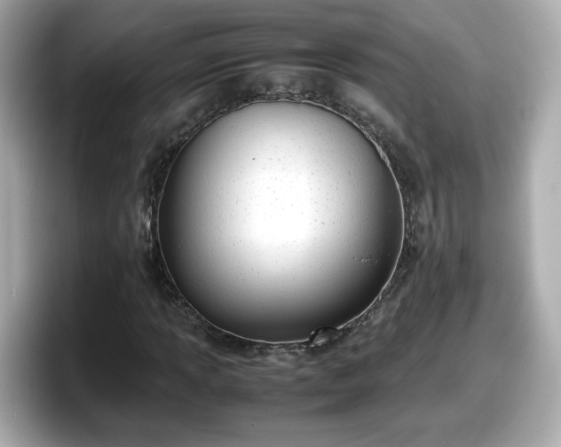 X0000098121013200804111111