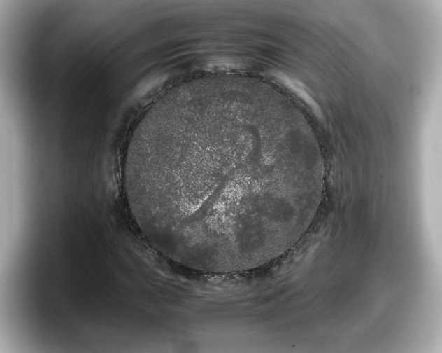 X0000098121015200804111111