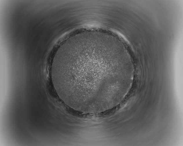 X0000098121016200804111111