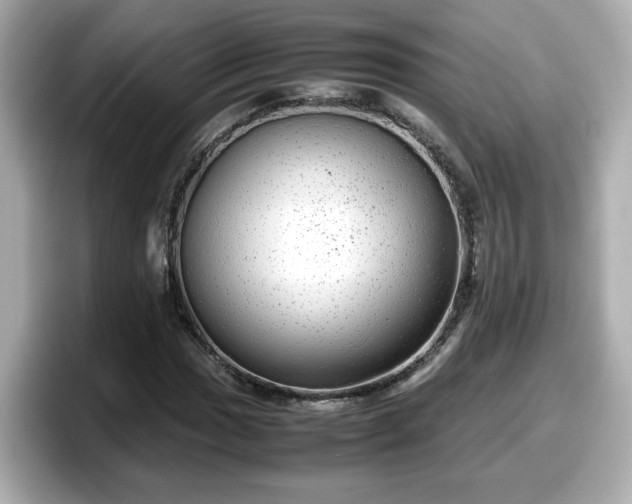 X0000098121017200804111111