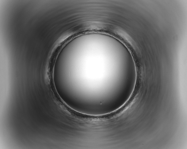 X0000098121018200804111111